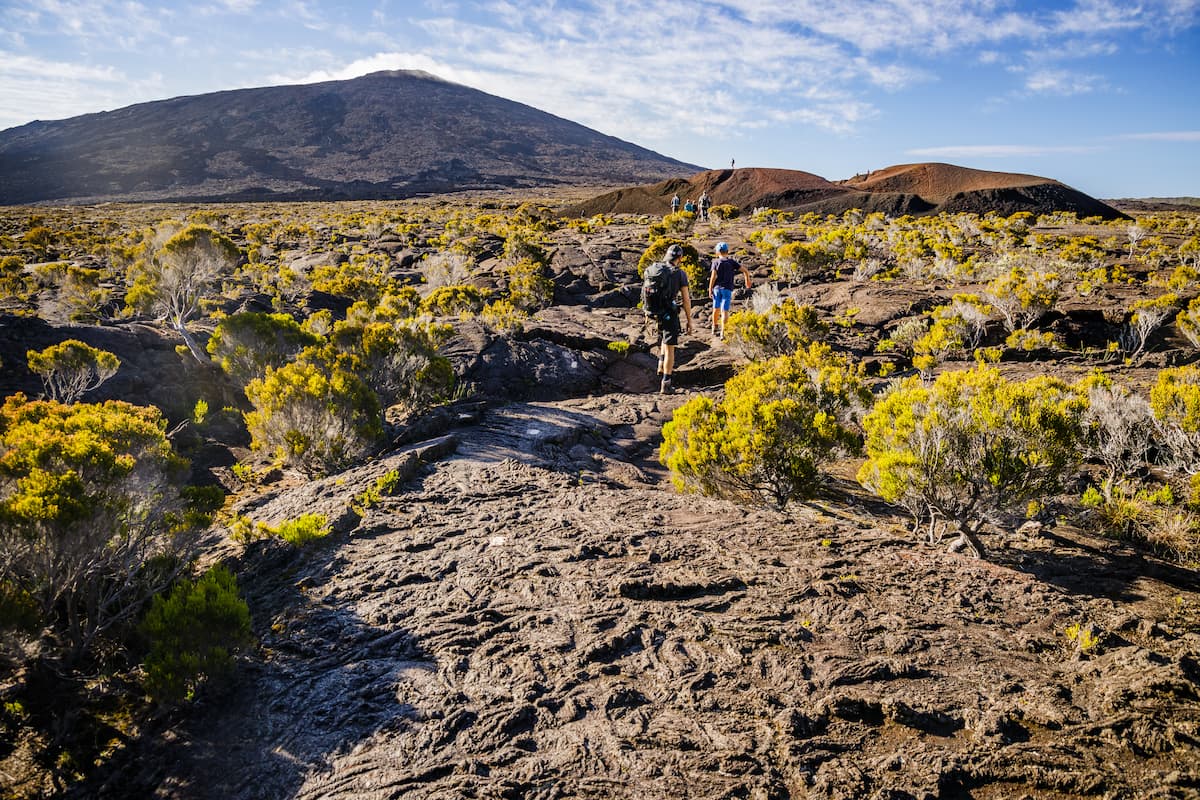 Montagne Pelée : préparer une randonnée volcanique en Martinique