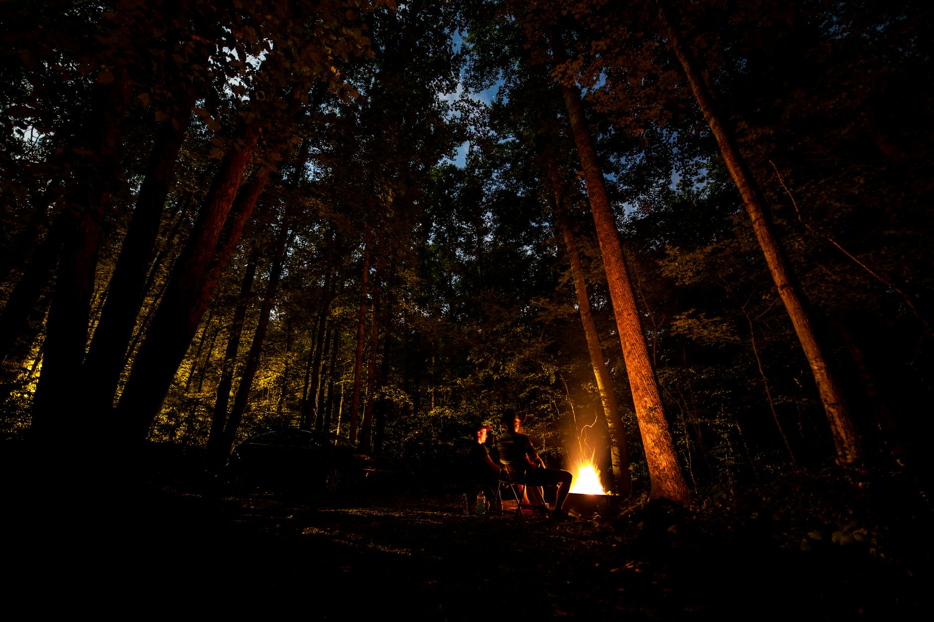 Équipement de survie en forêt : la liste utile pour partir léger et prudent