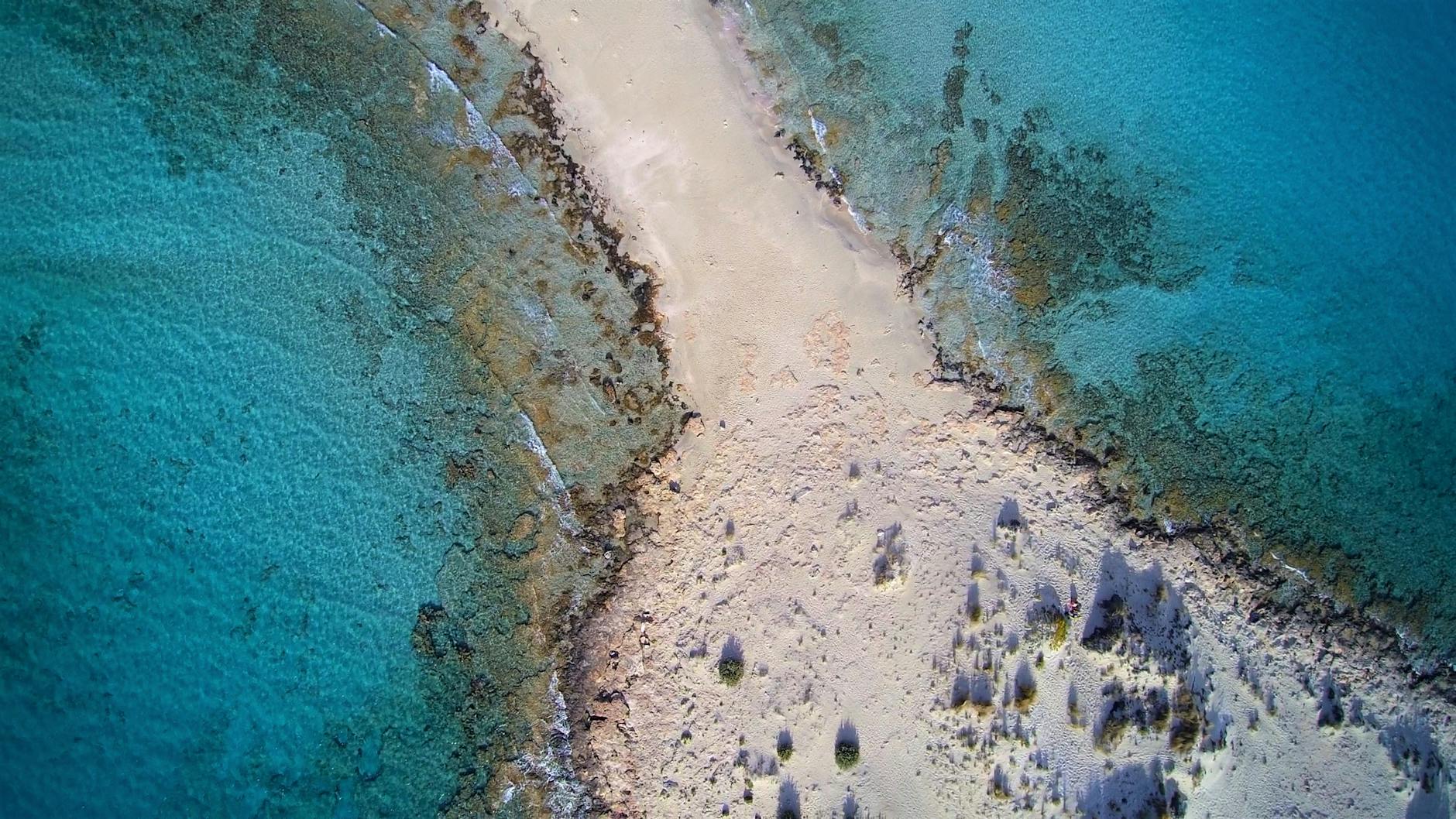 Île de Ré à pied : préparer une randonnée entre plages et villages