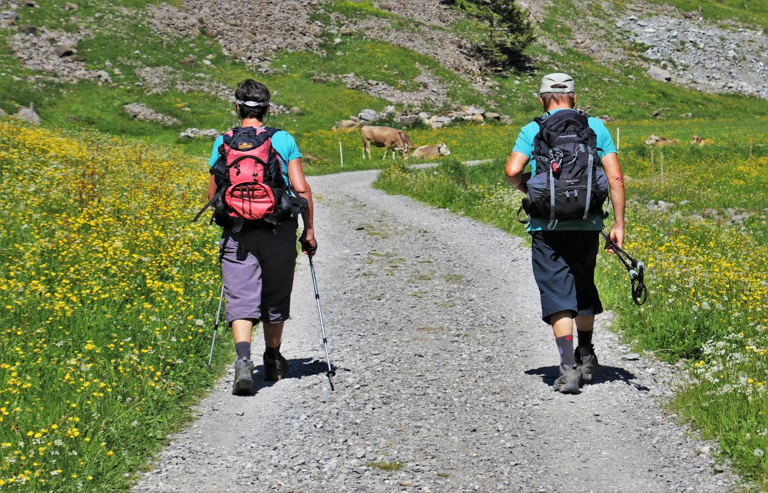 Randonnée pédestre : débuter, progresser et préparer ses sorties