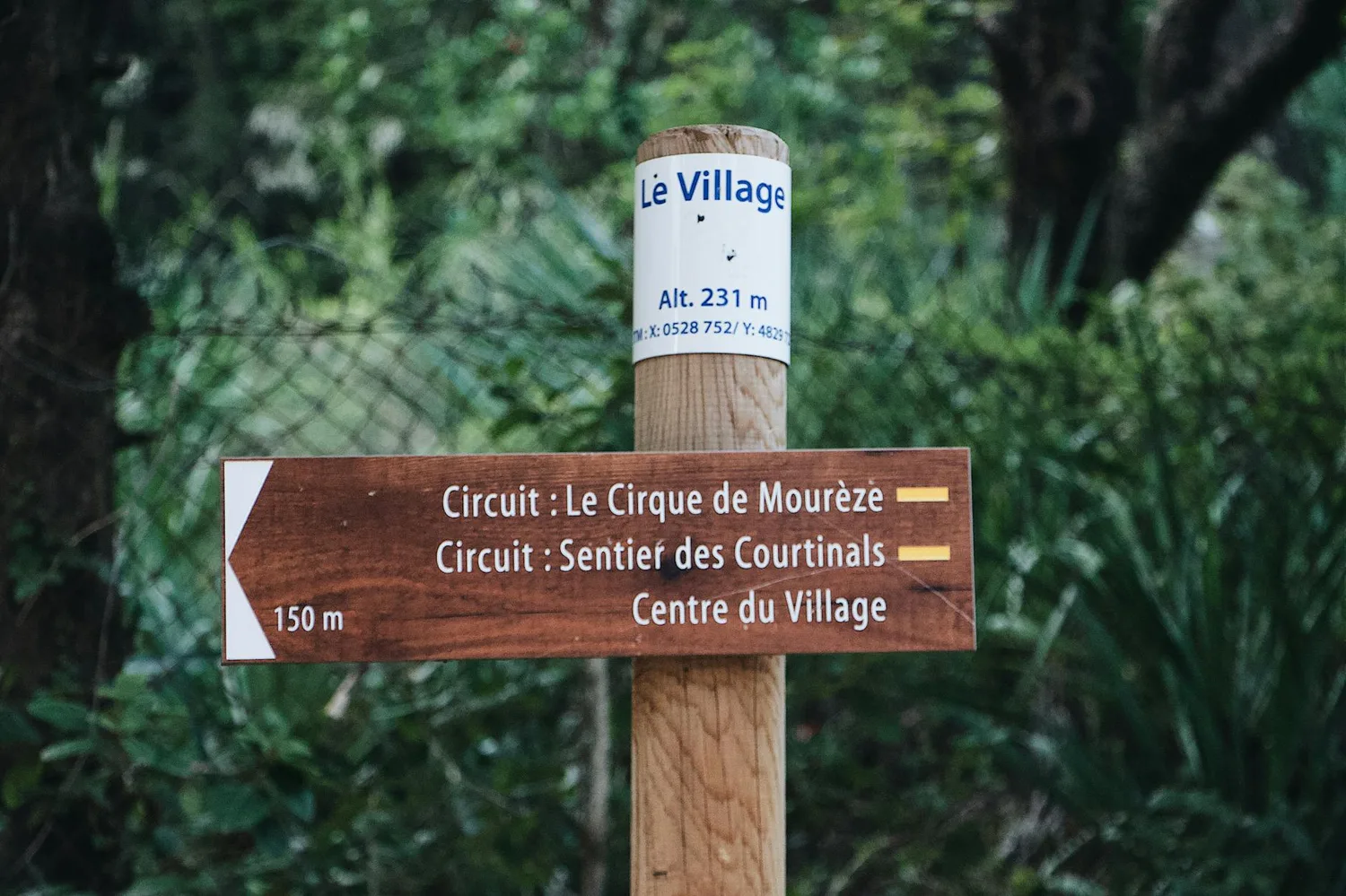 Randonnée aux Orgues d’Ille-sur-Têt : tout savoir avant de partir
